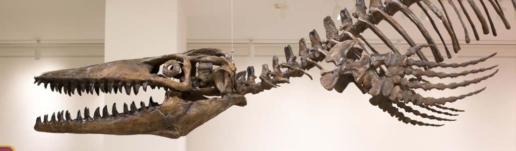 New Jersey State Museum