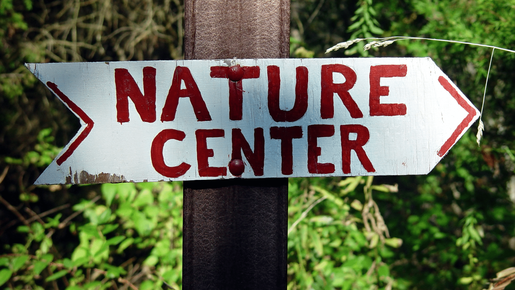 Tulpehaking Nature Center